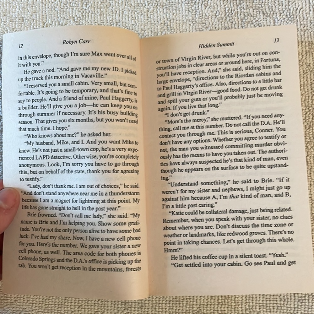 'Hidden Summit' Book - Picture 10 of 12